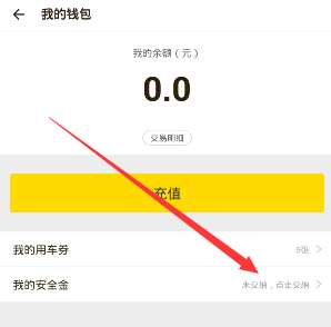 巴方称击落29架印度无人机